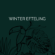 Winter Efteling