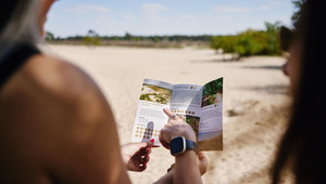 Les dunes de Loonse et de Drunense