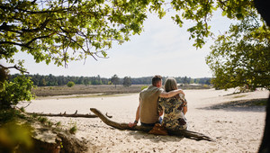 Les dunes de Loonse et de Drunense