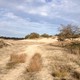 De Loonse en Drunense Duinen
