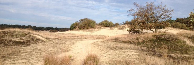 De Loonse en Drunense Duinen