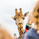 Safaripark Beekse Bergen