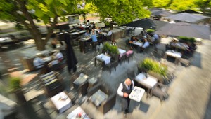 Terras
