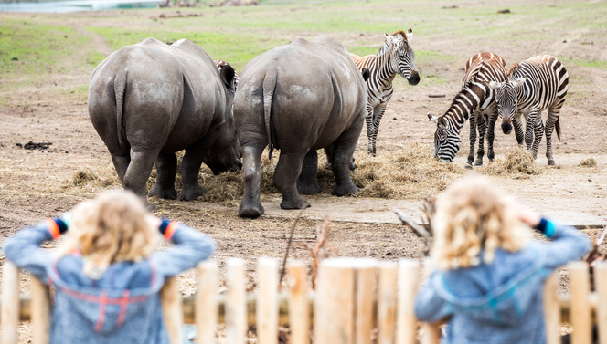 Safaripark Beekse Bergen