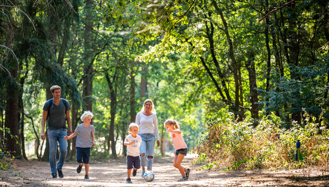 Wandelen in Brabant