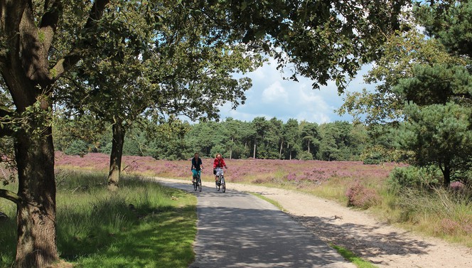 Wandelen en fietsen