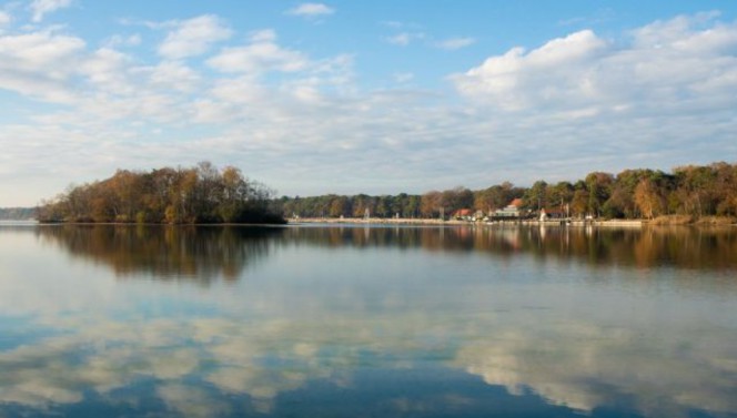 Nature area in Vught