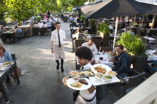Terras