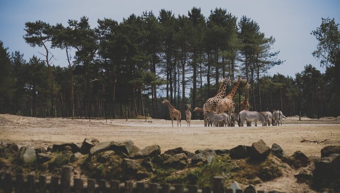 Safaripark