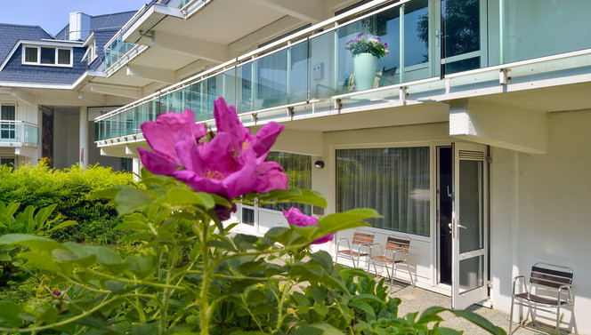 zomer bloemen