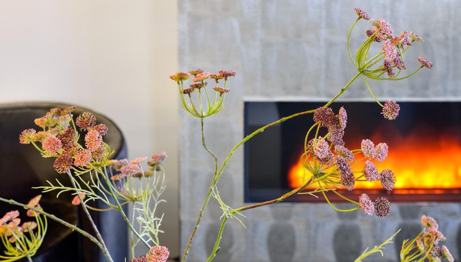 fireplace