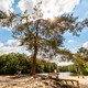 Loonse & Drunense Duinen