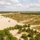Loonse & Drunense Dünen