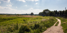 de Vughtse Heide